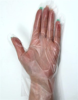 Перчатки одноразовые 100 шт в упак. (ТПЭ, прозрачные, размер M) - фото 4487