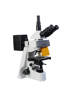 Микроскоп Микромед-3 ЛЮМ (тринокулярный, люминесцентный) - фото 7973