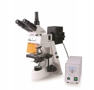 Микроскоп люминесцентный Биолаб 11 ЛЮМ (тринокулярный, планахроматический) - фото 7980