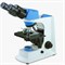Микроскоп бинокулярный EUM-5000 - фото 7976